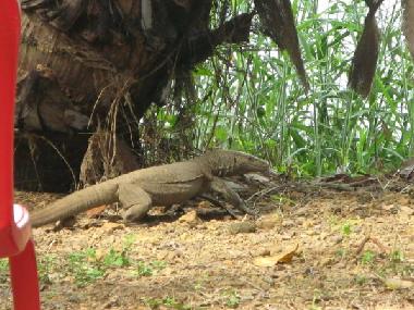 Casa de vacaciones en Kottayam (Kerala)Casa de vacaciones