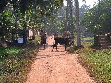 Casa de vacaciones en Kottayam (Kerala)Casa de vacaciones