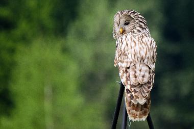 Casa de vacaciones en Uherce Mineralne (Podkarpackie)Casa de vacaciones