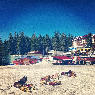 Apartamento de vacaciones en Smolyan (Smolyan)Casa de vacaciones