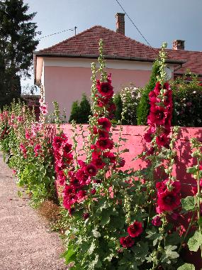 Casa de vacaciones en Nagydobsza (Baranya)Casa de vacaciones