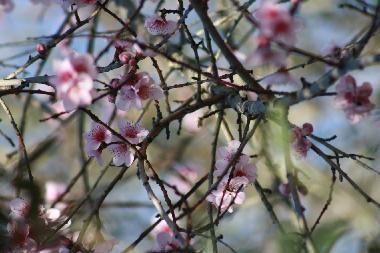 Villa en Portela de Vila Verde (Oeste)Casa de vacaciones