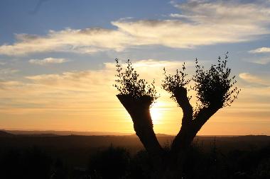Villa en Portela de Vila Verde (Oeste)Casa de vacaciones