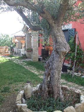 Apartamento de vacaciones en Lanciano (Chieti)Casa de vacaciones