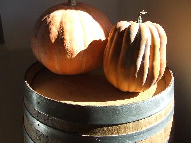 Apartamento de vacaciones en Lanciano (Chieti)Casa de vacaciones