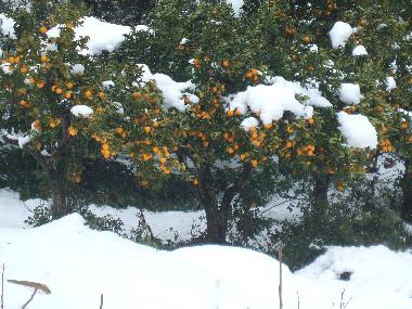 Apartamento de vacaciones en Lanciano (Chieti)Casa de vacaciones