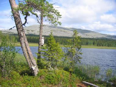 Casa de vacaciones en �k�slompolo (Lappi)Casa de vacaciones