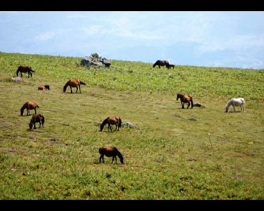 Villa en Sistelo (Norte)Casa de vacaciones