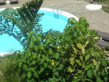 Apartamento de vacaciones en Puerto de la Cruz (Teneriffa)Casa de vacaciones