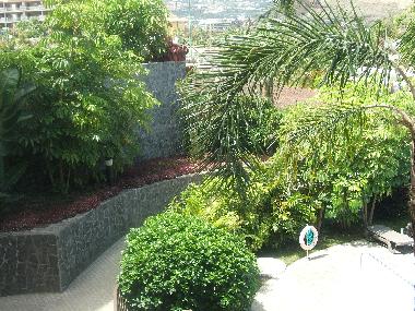 Apartamento de vacaciones en Puerto de la Cruz (Teneriffa)Casa de vacaciones