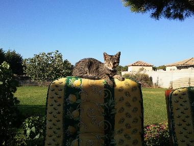 Casa de vacaciones en Chiclana (Cdiz)Casa de vacaciones