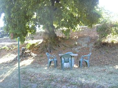 Apartamento de vacaciones en sainte lucie de mercurio (Haute-Corse)Casa de vacaciones