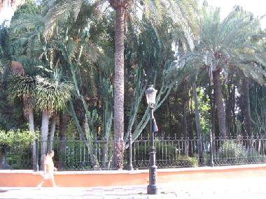 Apartamento de vacaciones en Marbella (M�laga)Casa de vacaciones