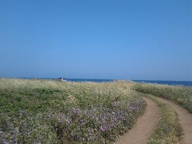 Apartamento de vacaciones en Liznjan Medulin (Istarska)Casa de vacaciones