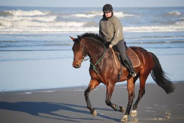 Apartamento de vacaciones en Middelkerke (Flandes)Casa de vacaciones