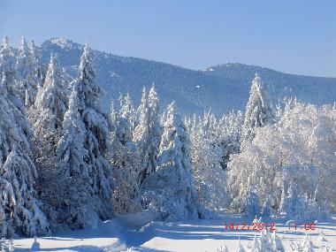 Apartamento de vacaciones en Samokov (Sofiya-Grad)Casa de vacaciones