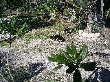 Apartamento de vacaciones en Vieste (Foggia)Casa de vacaciones