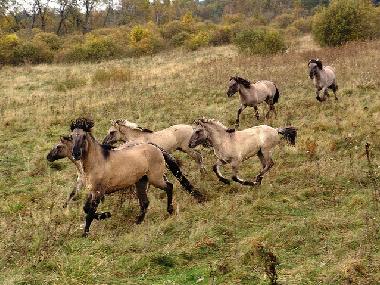 Apartamento de vacaciones en Liepaja (Lettland)Casa de vacaciones