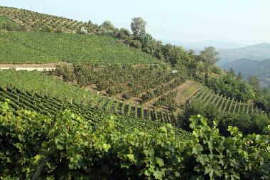 Casa de vacaciones en Alba (Cuneo)Casa de vacaciones