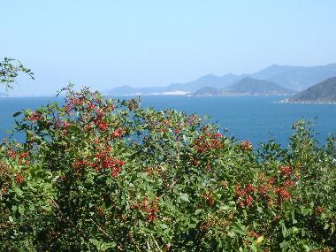 Chalet en florianopolis (Santa Catarina)Casa de vacaciones