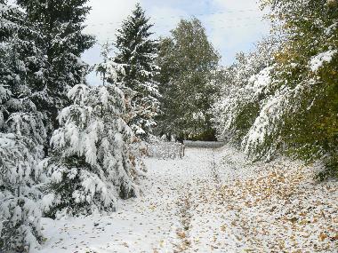 Chalet en GERBPAL (Vosges)Casa de vacaciones