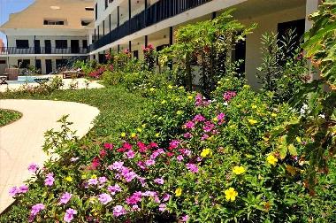 Apartamento de vacaciones en Santa Maria (Sal)Casa de vacaciones