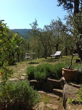 Casa de vacaciones en 52031 (Arezzo)Casa de vacaciones