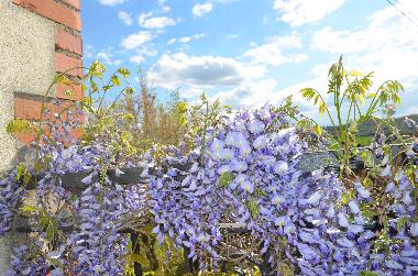 Cama y desayuno en Lucignano (Arezzo)Casa de vacaciones