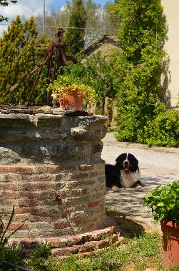 Cama y desayuno en Lucignano (Arezzo)Casa de vacaciones