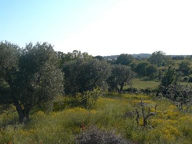 Casa de vacaciones en Ceglie Messica (Brindisi)Casa de vacaciones