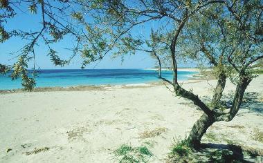 Casa de vacaciones en Suvereto (Grosseto)Casa de vacaciones