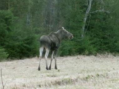 Casa de vacaciones en Kr�kshult / Mariannelund (Smaland)Casa de vacaciones