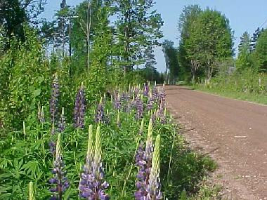 Casa de vacaciones en Kr�kshult / Mariannelund (Smaland)Casa de vacaciones