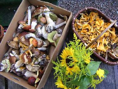 Casa de vacaciones en Kr�kshult / Mariannelund (Smaland)Casa de vacaciones