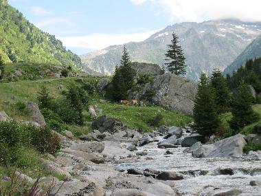 Apartamento de vacaciones en Platta (Disentis-Sedrun)Casa de vacaciones