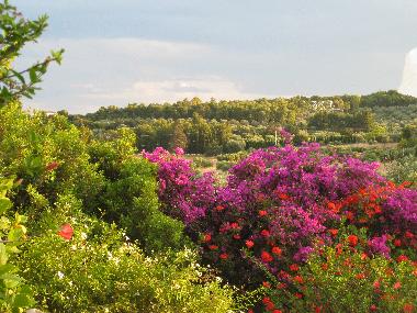 Villa en Porto Heli (Argolida)Casa de vacaciones