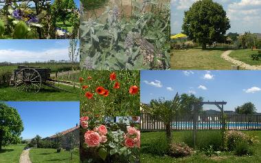 Casa de vacaciones en Lacapelle-Sgalar (Tarn)Casa de vacaciones