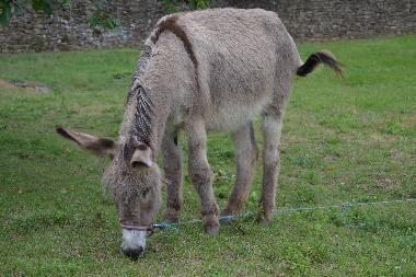 Casa de vacaciones en Saint-Brs (Gard)Casa de vacaciones