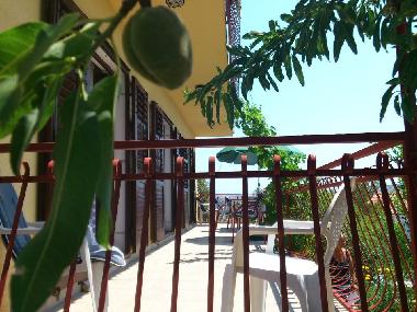 Apartamento de vacaciones en Primosten (Sibensko-Kninska)Casa de vacaciones