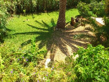 Casa de vacaciones en Conil (Cdiz)Casa de vacaciones