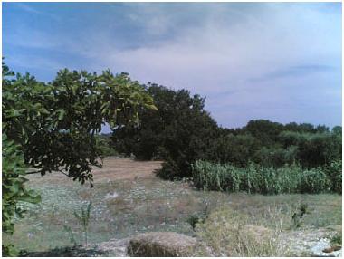 Casa de vacaciones en Cisternino (Brindisi)Casa de vacaciones