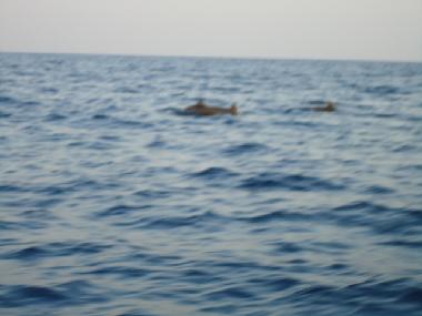 Villa en Ume Anyar (Bali)Casa de vacaciones