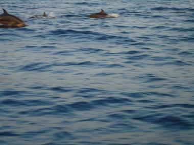 Villa en Ume Anyar (Bali)Casa de vacaciones