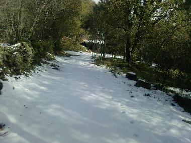 Apartamento de vacaciones en Zafferana Etnea (Catania)Casa de vacaciones