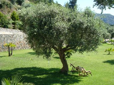 Apartamento de vacaciones en Porto Koufo (Chalkidiki)Casa de vacaciones