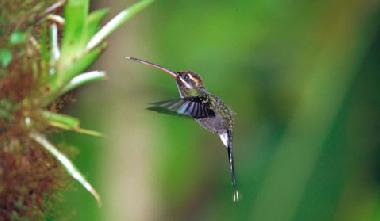 Casa de vacaciones en Quito Region (Pichincha)Casa de vacaciones