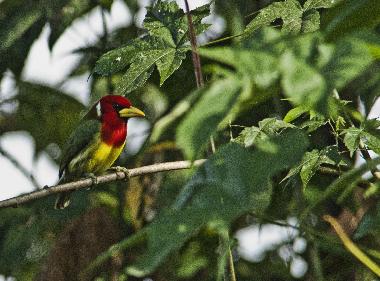 Casa de vacaciones en Quito Region (Pichincha)Casa de vacaciones