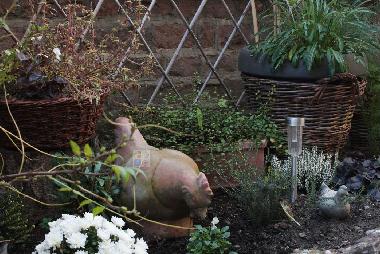 Apartamento de vacaciones en COLMAR (Haut-Rhin)Casa de vacaciones