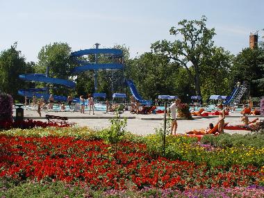 Cama y desayuno en Szabadkigyos (Bekes)Casa de vacaciones