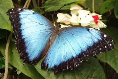 Casa de vacaciones en Quito Region (Pichincha)Casa de vacaciones